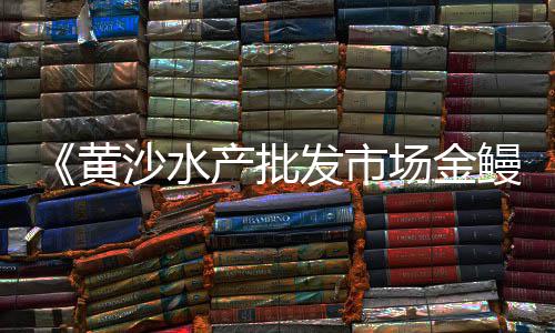 河池市水泥市场、水泥批发市场 南京、全国水泥行业市场分析、火山灰水泥32.5市场