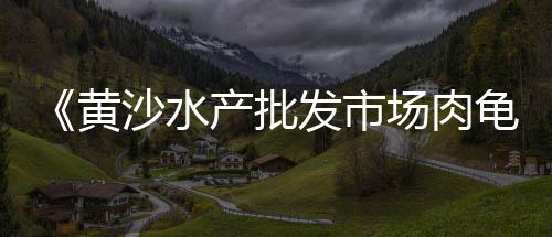 黄沙价格广州攻略、赣州兴国黄沙价格、水泥黄沙价格趋势、今日宁波黄沙价格