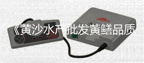 苍南石子批发市场在哪里、兴宁市小石子批发市场、淮安水磨石石子批发市场、昆明水洗石石子批发市场