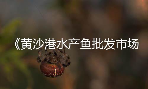 上海水泥路面改色厂家、上海水泥方桩价格、上海水泥制管设备、上海水泥砖公司