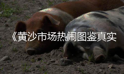 上海黄沙泥多少钱一吨、上海玻璃钢黄沙箱价格、上海今日黄沙多少一吨、上海黄沙岛居住多少人口