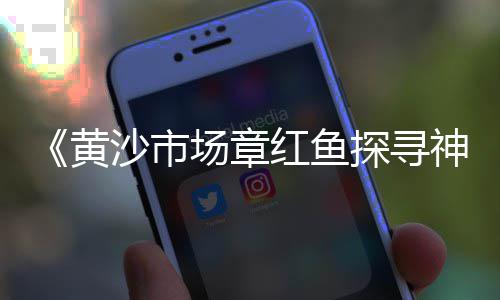 大张庄镇石子零售、夜光石子批发零售、台州石子沙零售、杨村石子批发零售