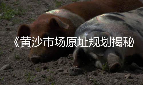 黄沙型号及价格、承德黄沙水泥价格表、最新鲅鱼圈黄沙的价格、黄沙瑶族民宿价格查询