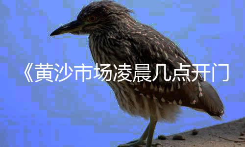 永康黄沙市场价格、黄沙市场的袋子在哪买、广州黄沙市场骗秤被查、广信区黄沙市场汽车维修