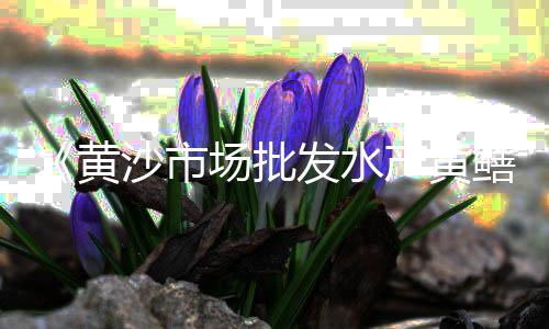 西城水泥盖板市场报价表、兰州水泥栏杆批发市场、宿州市水泥市场价、苗庄水泥沙子市场