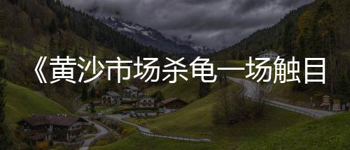 莱山区石子厂家批发、河北白石子批发公司报价、楚雄石子振动筛批发、吴忠市石子批发厂家
