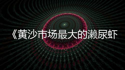 上海20t黄沙卸船机、上海葛芳黄沙、上海配送黄沙出售、上海黄沙岛房价