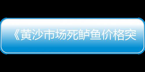 2023水泥市场规模、朱河水泥市场在哪里、水泥市场前景如何分析、今年水泥市场会不会大涨