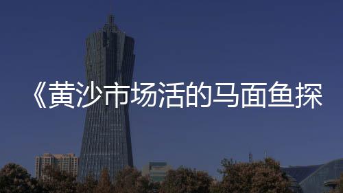 杨柳青石子建材市场、郑州彩色石子批发市场、什么市场能买到磨刀石子、邯郸各种石子批发市场
