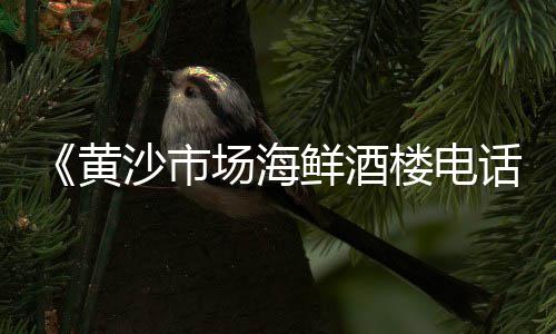 戈壁料石子什么价格、新绛县石子价格、江西石子价格走势最新、盆景石子出售价格