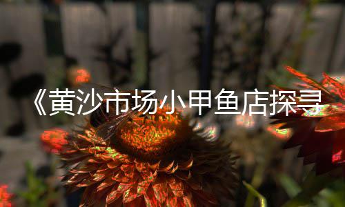 唐山大量石子直销市场、山东二手石子市场、南通石子市场价格、郑州石子批发市场