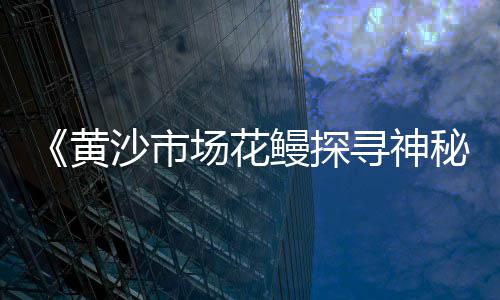 上海中粗黄沙价格、上海黄沙水泥供应商、上海河道清淤撒黄沙、上海黄沙岛怎么走