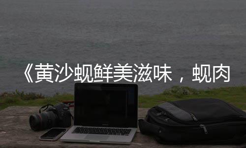 开黄沙水泥零售店赚钱吗、武陟黄沙批发零售、宿州黄沙批发零售、黄沙蚬批发零售