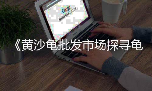 火车道石子批发、雷州石场石子批发、灰石子批发盆景、石子批发厂家运输