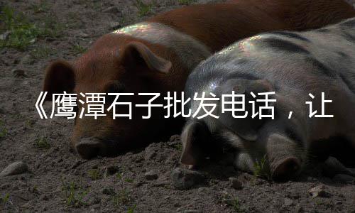 各种石子批发建材、邯郸黑色玄武岩石子批发、南通石子黄沙批发多少钱、金华鱼缸石子批发市场