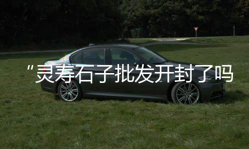 上海水泥船租赁班轮、上海水泥买卖合同、上海水泥2019年价位、上海水泥围栏哪家好