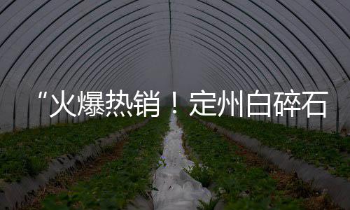 石子冲巷小区价格、圆石子价格、东阿石子价格、石子砖头价格
