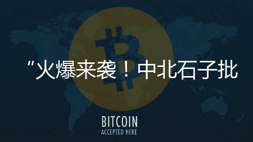 邳州收石子价格、满城石子子价格、浙江衢州石子价格、深圳石场石子价格