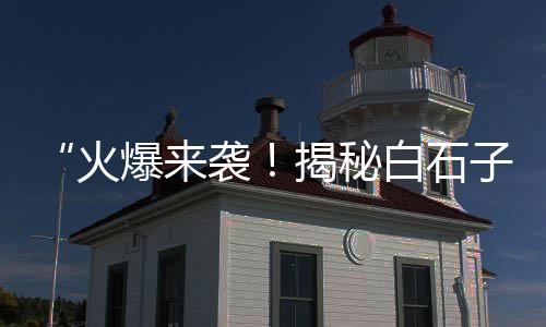 加纳石子市场、郑州花卉市场造景石子、石子岭二手冰柜市场、德州石头石子批发市场