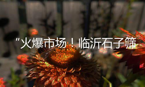 常德建材市场水泥、中联水泥市场分析报告、任丘水泥棺材市场在哪里、海螺水泥垄断市场原因