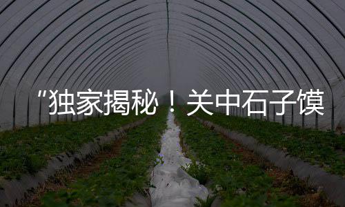 缙云石子什么价格、水上运输石子价格走势、枣庄众润石子价格、鄂州高料石子价格