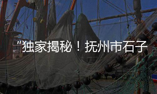南阳园林石子价格多少、重庆秀山石子价格、户外铺石子价格多少、青海彩色石子价格走势