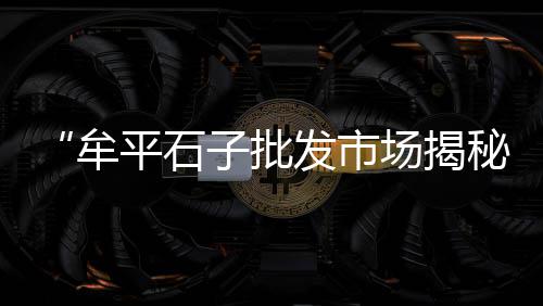 宿迁混合黄沙批发、驻马店黄沙水泥批发市场、濮阳黄沙批发市场在哪里、黄沙进口冻品批发在哪里