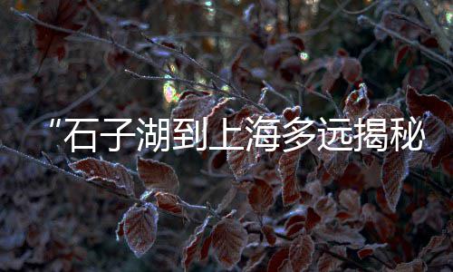 上海石子黄沙直销、上海港口石子价格表、上海黄沙石子采购站电话、上海再生石子粗砂厂家有哪些