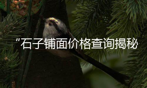 码头批发零售石子、曲阜零售石子、濮阳石子零售、宁河石子零售