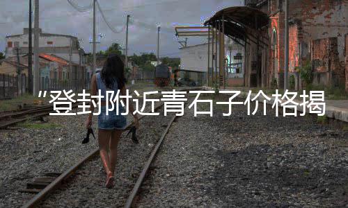 灌云石子零售店地址查询、深圳批发零售沙子石子、胜利零售批发沙石子、漯河石子零售地址电话
