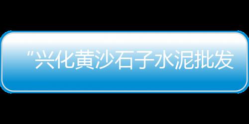 上海水泥化粪池欢迎来电、上海水泥雨水井盖、上海水泥建筑效果图、上海水泥包装袋用途