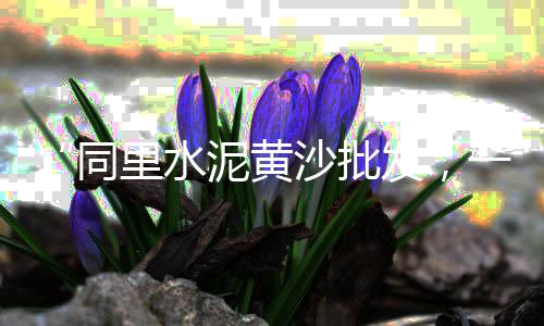 高速路面石子价格、收沙子石子价格、河南洛阳石子价格、宁波今日石子价格