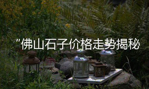 2021年装修石子价格、瑞金建房石子价格多少、建筑材料 石子 价格、建筑用石子的价格