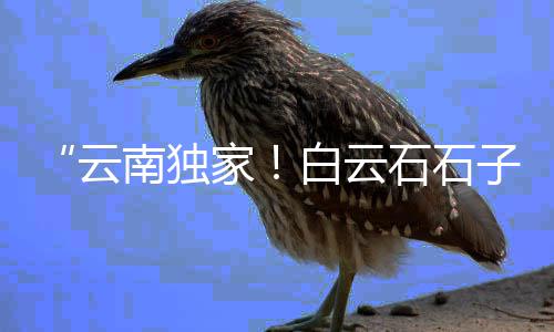 附近白水泥批发零售店、荔湾水泥零售热线、德州沙子水泥零售、水泥零售搬运方案