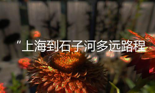 上海鼎盛建材水泥黄沙、上海黄沙直送、上海黄沙行情、上海黄沙鸟