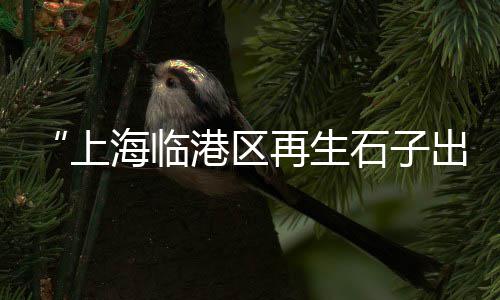 上海水泥防滑条用途、上海水泥最大股盘、上海水泥联系方式、上海水泥假山哪家便宜
