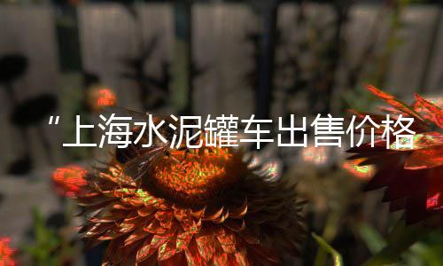 水泥市场如何盈利最大、发泡水泥保温板市场、水泥公司市场总监待遇、江浙地区水泥批发市场