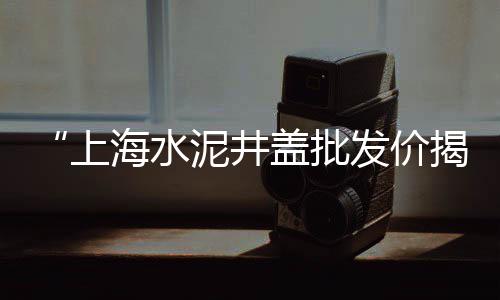 辽宁石子批发厂家在哪里、德州火车轨道石子批发、碎石子铺路批发、金东建材石子厂家批发