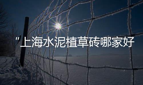 上海水泥仿木栏杆械腾、上海水泥砂浆制作、上海水泥井盖供货商、上海水泥电杆制作厂家