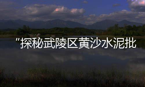 黄沙市场冻品批发市场地址、赣州大型黄沙市场、黄沙市场拓展部、黄沙市场创始商家