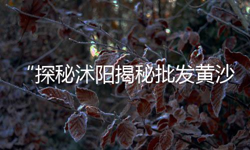 建邺区批发水磨石子厂家、陕西小石子批发、西安花园石子批发、夹心石子馍批发