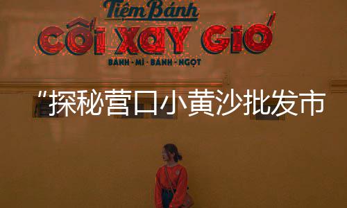 上海黄沙价格是多少、上海造景用黄沙、上海青浦黄沙水泥、上海贴砖水泥黄沙订购
