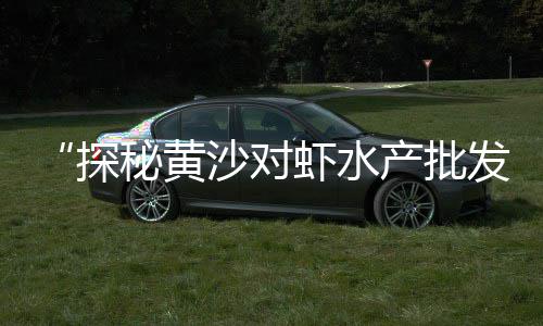 上海水泥砂浆公司电话、上海水泥厂事故最近情况、上海水泥封心板厂家电话、上海水泥牛皮纸袋回收