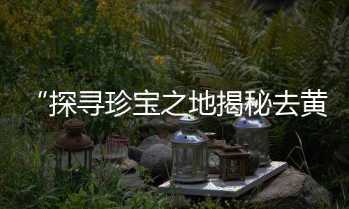 上海金山区石子、上海到河南石子运输、上海再生石子找谁买、上海透水混凝土面层石子