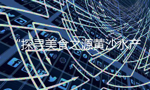 上海闵行再生石子批发、上海破碎石子厂家地址、上海石子仓值多少钱、上海松江石子厂家直销
