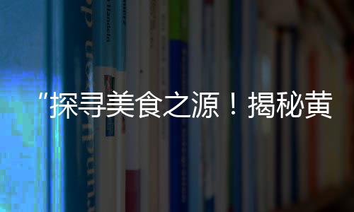 徐州黄沙水泥零售公司、零售水泥黄沙石子、闻喜水泥黄沙批发零售、盘龙城袋装黄沙零售