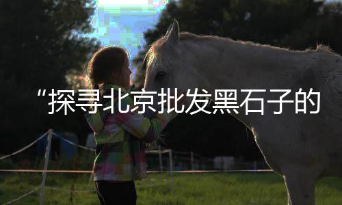 上海先进石子仓市价、上海嘉定石子价格、上海实用石子仓、上海南通石子