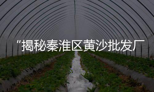 水泥代子批发、铜陵水泥保温砖批发价格、云南水泥喷涂机批发价格、青岛木纹水泥砖批发价格