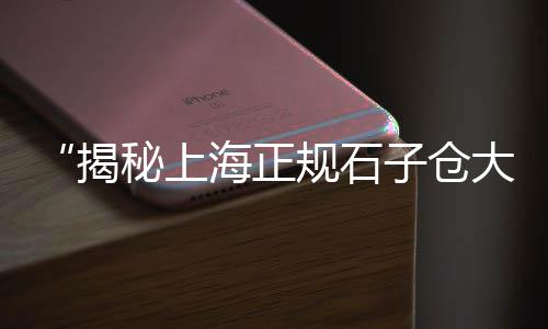 河北石头石子批发厂家、合川区石子批发厂家电话、假山石子批发厂家在哪里、宁远石子沙泥砖批发价