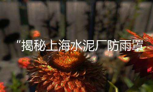 虎丘区石子价格行情、淮北市石子价格、南方混凝土石子价格、人工铺石子每吨价格